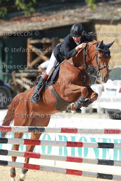 MATTEUCCI_IPPIA_GIO CAV 2011_SS3_7033.jpg